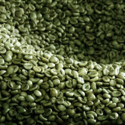 Cà phê Robusta