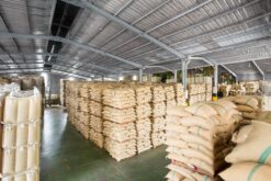 Cà phê Arabica