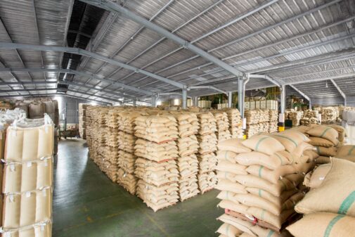 Cà phê Arabica